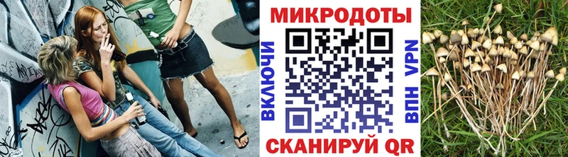 Псилоцибиновые грибы Cubensis  ссылка на мегу   Каневская 