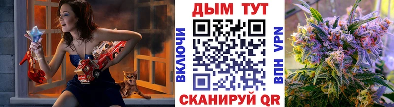 закладка  Каневская  Бошки Шишки планчик 